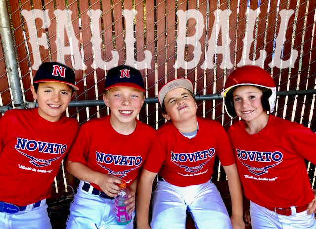 Fall Ball - Novato Little League North Youth Baseball